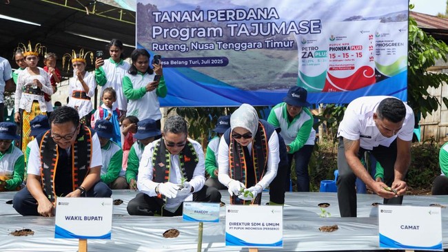 Pupuk Indonesia luncurkan program Tajumase di Manggarai untuk tingkatkan kesejahteraan dan kesehatan masyarakat melalui pertanian hortikultura.