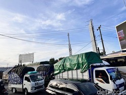 Keluh Sopir Truk Asal Bandung Tempuh Baluran-Ketapang hingga 2 Hari