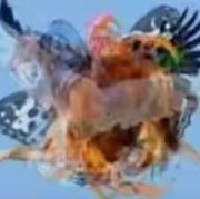 Tes Kepribadian: Gambar Hewan Pertama yang Dilihat Bisa Ungkap Sifat Aslimu, Total Ada 9 Hewan!