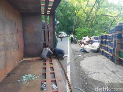Truk Terguling di Jalan Singaraja Denpasar, Arus Lalin Terganggu