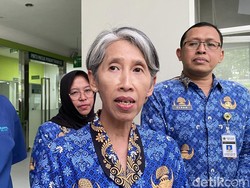 Kadinkes Jateng Sebut Kondisi Rafa Korban Gigitan Ular Weling Membaik