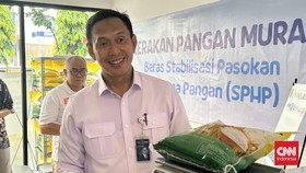 Ahmad Rizal Ajukan Pengunduran Diri ke TNI Usai Jadi Dirut Bulog