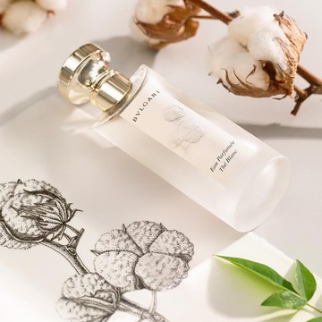 Kemewahan Dalam Balutan Tradisi dari Aroma Daun Teh di Parfum Bulgari