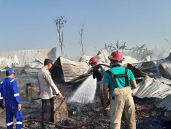Peternakan di Bulakan Blora Terbakar, 15 Ribu Ayam Mati Terpanggang