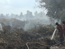 510 Hektare Lahan di Riau Terbakar!
