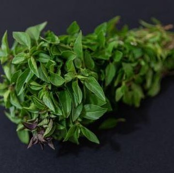 Selain Bikin Wangi Masakan, Ini 5 Manfaat Daun Kemangi untuk Mencegah Penyakit Kronis