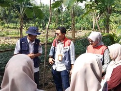 Pertamina Gelar Pelatihan Budidaya Tanaman Berkelanjutan di OKU