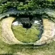 Tes Kepribadian: Gambar Pertama yang Dilihat Bisa Tunjukkan Penyebab Terbesar Rasa Insecure Kamu