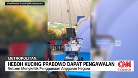VIDEO: Heboh Kucing Prabowo Dapat Pengawalan