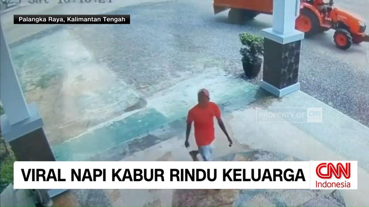 VIDEO: Napi Kasus Asusila Kabur Karena Rindu Keluarga
