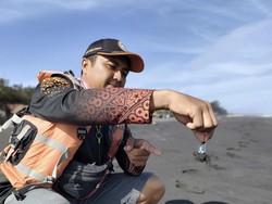 Hati-hati Dab! Ubur-ubur Mulai Bermunculan di Pantai Kulon Progo