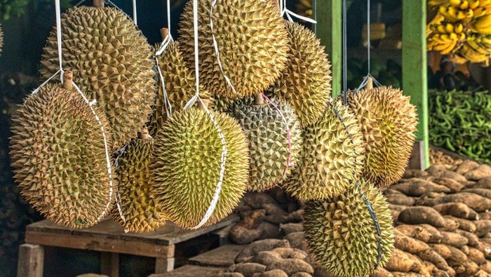 img-title 6 Daftar Orang yang Tidak Dianjurkan Makan Durian dan Alasannya