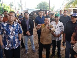 Al Haris dan BBS Tinjau Kesiapan Koperasi Merah Putih di Muaro Jambi