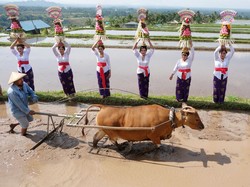 Menyoal Rencana Menteri Nusron Minta Warga Bali Pindah ke Luar Pulau