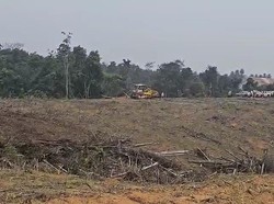 Curhat Pemilik Lahan yang Tanahnya Digusur PTBA Tanpa Ganti Rugi