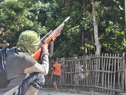 Monyet Liar Serang Pemukiman di Jombang Serang Anak dan Lansia
