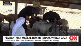 VIDEO: Pembantaian Massal Hewan Ternak Warga Gaza