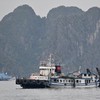 FOTO: Kapal Wisata Terbalik di Ha Long Bay Vietnam, 37 Orang Tewas