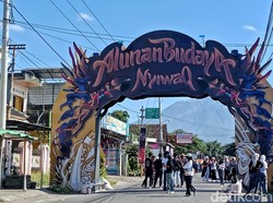 Serunya CFD di Alunan Budaya Pringgasela Raya Lombok Timur