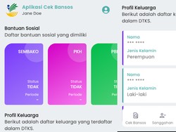 Cara Cek Penerima Bansos PKH dan BPNT Juli 2025 Lewat HP Pakai NIK KTP