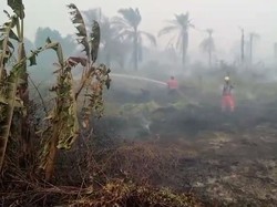 Asap Karhutla di Rohil Mulai Tebal, Damkar Kota Dumai Ikut Bantu Padamkan
