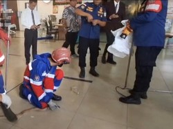 Damkar Evakuasi Ular Kobra di Area Bandara Sultan Thaha Jambi