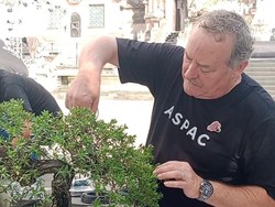 Pakar-pakar Bonsai Internasional Hadir di Ajang Aspac Gianyar
