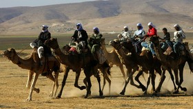 Suku Arab Badui Pernah Ikut Besarkan Nabi Muhammad
