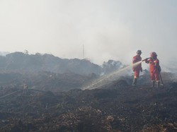 Penampakan Terkini Kebakaran Lahan Gambut di Muaro Jambi