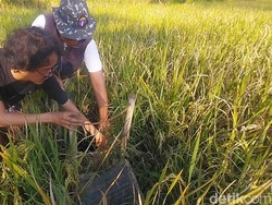 Alasan Sumur Bor Minyak Pertama di Indonesia Tak Lagi Beroperasi