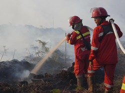 Cuaca dan Angin Jadi Kendala Padamkan Lahan Gambut di Muaro Jambi