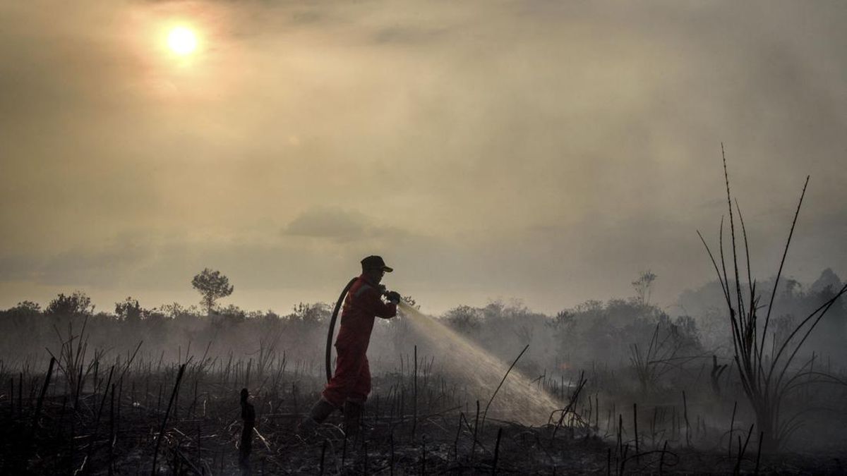 BNPB Gelar Modifikasi Cuaca Tahap 3 Tangani Karhutla di Riau