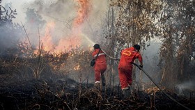 Menhut Ancam Sikat Perusahaan dan Masyarakat Pembakar Hutan di Riau