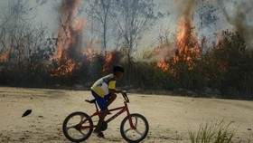 BNPB Minta Pemprov Riau Tetapkan Darurat Bencana Karhutla
