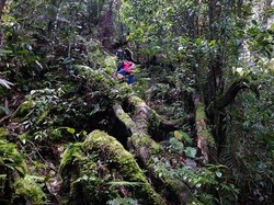 Menyingkap Tabir Mistis dari Bukit Raya dan Gunung Padai