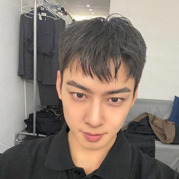 <p>Meskipun telah potong rambut, Cha Eun Woo masih berhasil memikat hati para penggemar lewat wajah tampannya. Bahkan, penampilan terbarunya ini juga menuai beragam komentar publik.&nbsp;(Foto: Instagram@eunwo.o_c)</p>