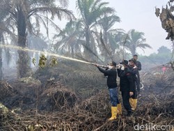 Karhutla di Rohil, Jarak Pandang Terbatas-Warga Terpaksa Mengungsi