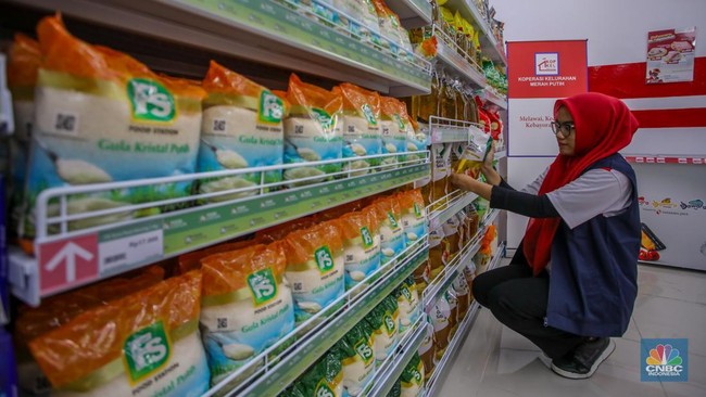 Seleksi Pegawai Kopdes Merah Putih Gunakan CAT BKN, 639.732 Pelamar Berebut 35.476 Formasi