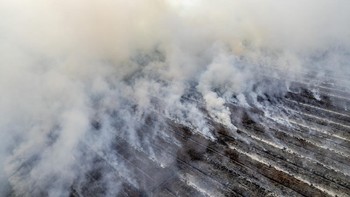 FOTO: Karhutla Membara di Muaro Jambi, 75 Hektare Lahan Terbakar