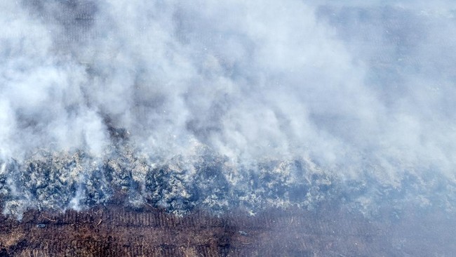 Sumsel Siaga Darurat Karhutla Setelah 47 Hektare Lahan Terbakar BNPB menyatakan Pemprov Sumsel menetapkan status siaga darurat karhutla hingga 30 November 2025 setelah 47 hektare lahan terbakar di provinsi itu.