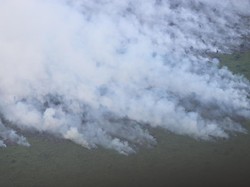 Kepala BNPB: 16 Orang Jadi Tersangka Kasus Karhutla di Riau