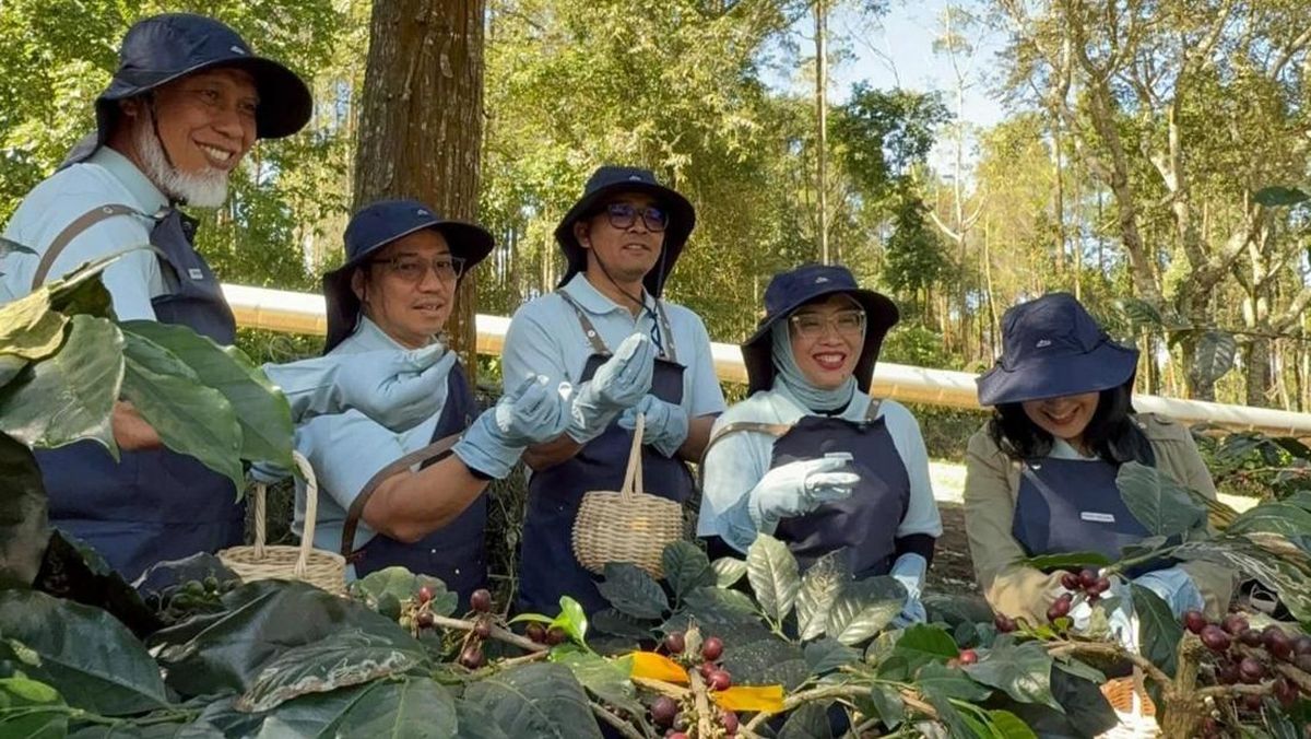 Berkat Inovasi Panas Bumi Pertamina, Kopi Kamojang Tembus Pasar Global
