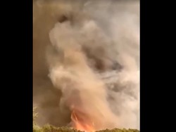 Video: Mencekam! Kemunculan Tornado Api di Tengah Kebakaran Hutan Turki