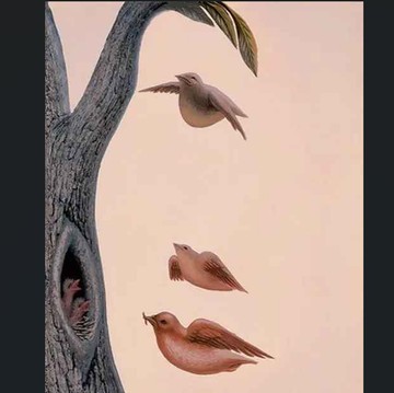 Tes Kepribadian: Gambar Apa yang Pertama Kali Terlihat? Ungkap Keinginan Terdalam Kamu!