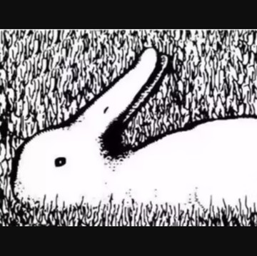 Tes Kepribadian: Lihat Kelinci atau Bebek Duluan? Ini Artinya!