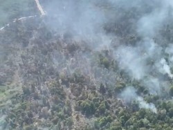 Situasi Terkini Karhutla Riau, Polda-BPBD Fokus Padamkan Hotspot di Meranti
