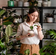 5 Ide Bisnis Tanaman yang Bisa Dicoba di Rumah, Less Effort Tapi Nambah Cuan!