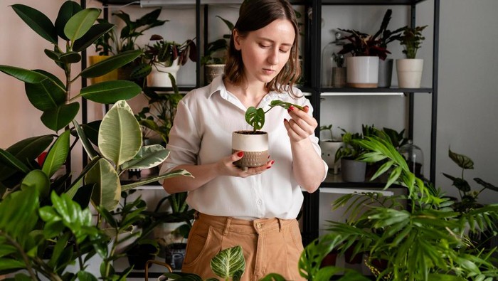 5 Ide Bisnis Tanaman yang Bisa Dicoba di Rumah, Less Effort Tapi Nambah Cuan!