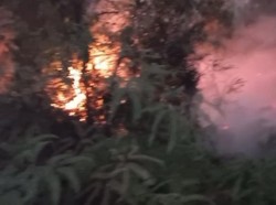 Karhutla Meluas, Pemkab Lima Puluh Kota Tetapkan Status Tanggap Darurat