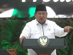 Prabowo Ungkap Ada Pihak Nyinyir soal Hasil Negosiasi Tarif Trump